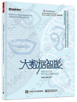 大数据智能: 互联网时代的机器学习和自然语言处理技术