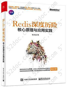 Redis 深度历险：核心原理与应用实践