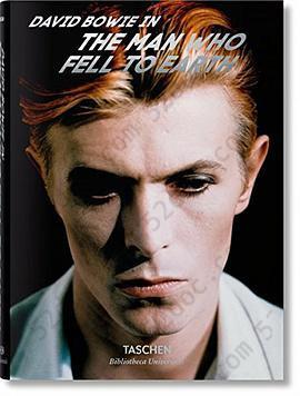 David Bowie: The Man Who Fell to Earth