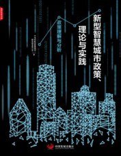 新型智慧城市政策、理论与实践: 政策理解与分析