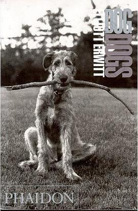 Elliott Erwitt: Dog Dogs