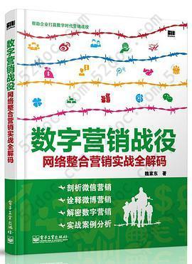 数字营销战役：网络整合营销实战全解码